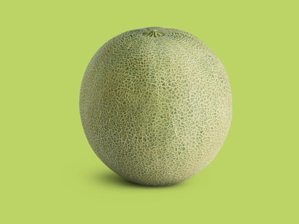 Cantaloupe Melon