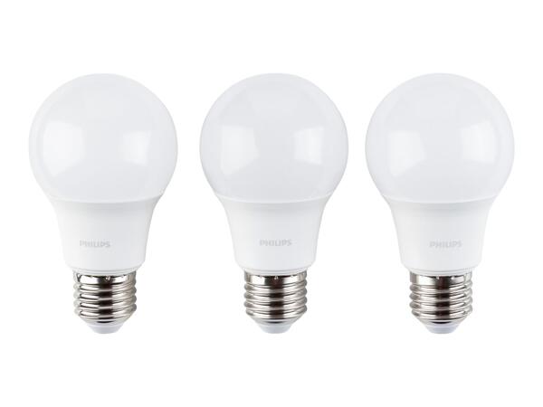 LED Lamp