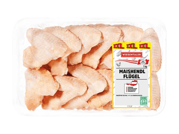 Frische Maishendl Flügel
