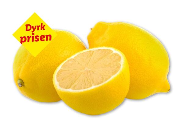 Citroner