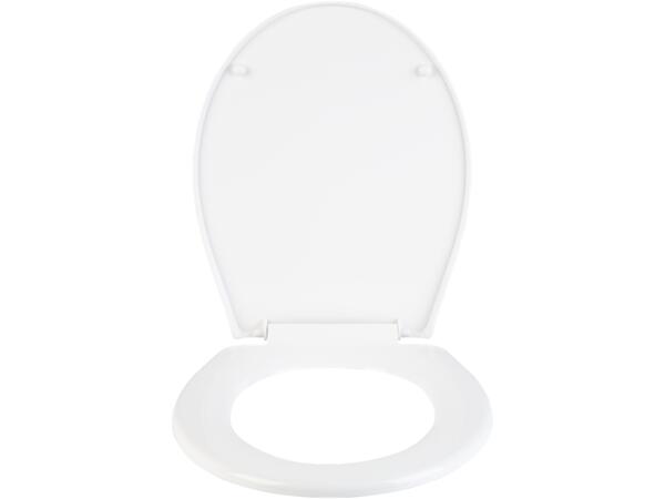 Toilet Seat