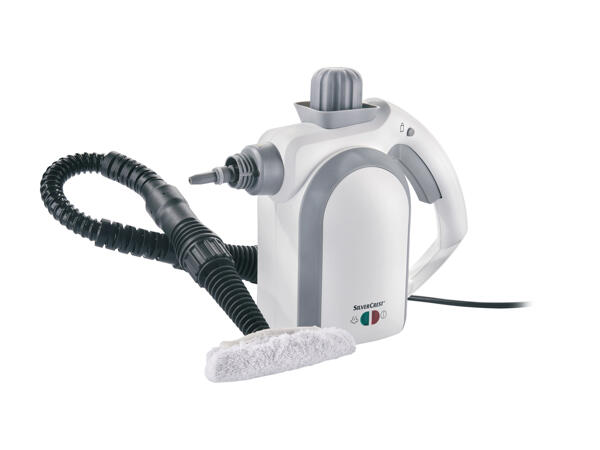 Nettoyeur vapeur à main