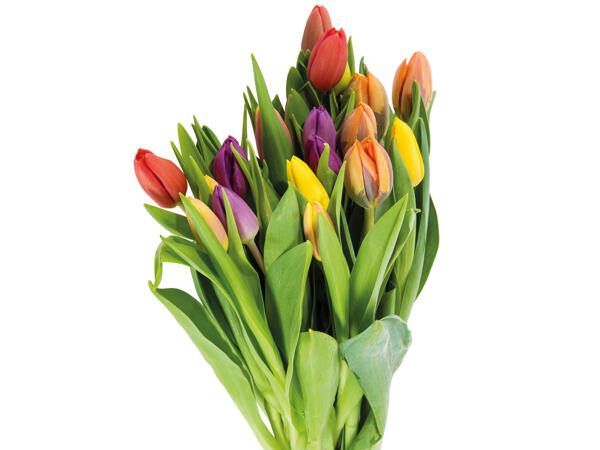 Tulpenstrauß Kunterbunt