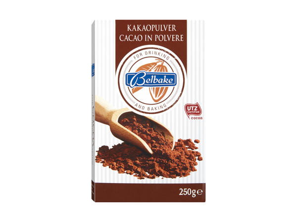 Cacao en poudre