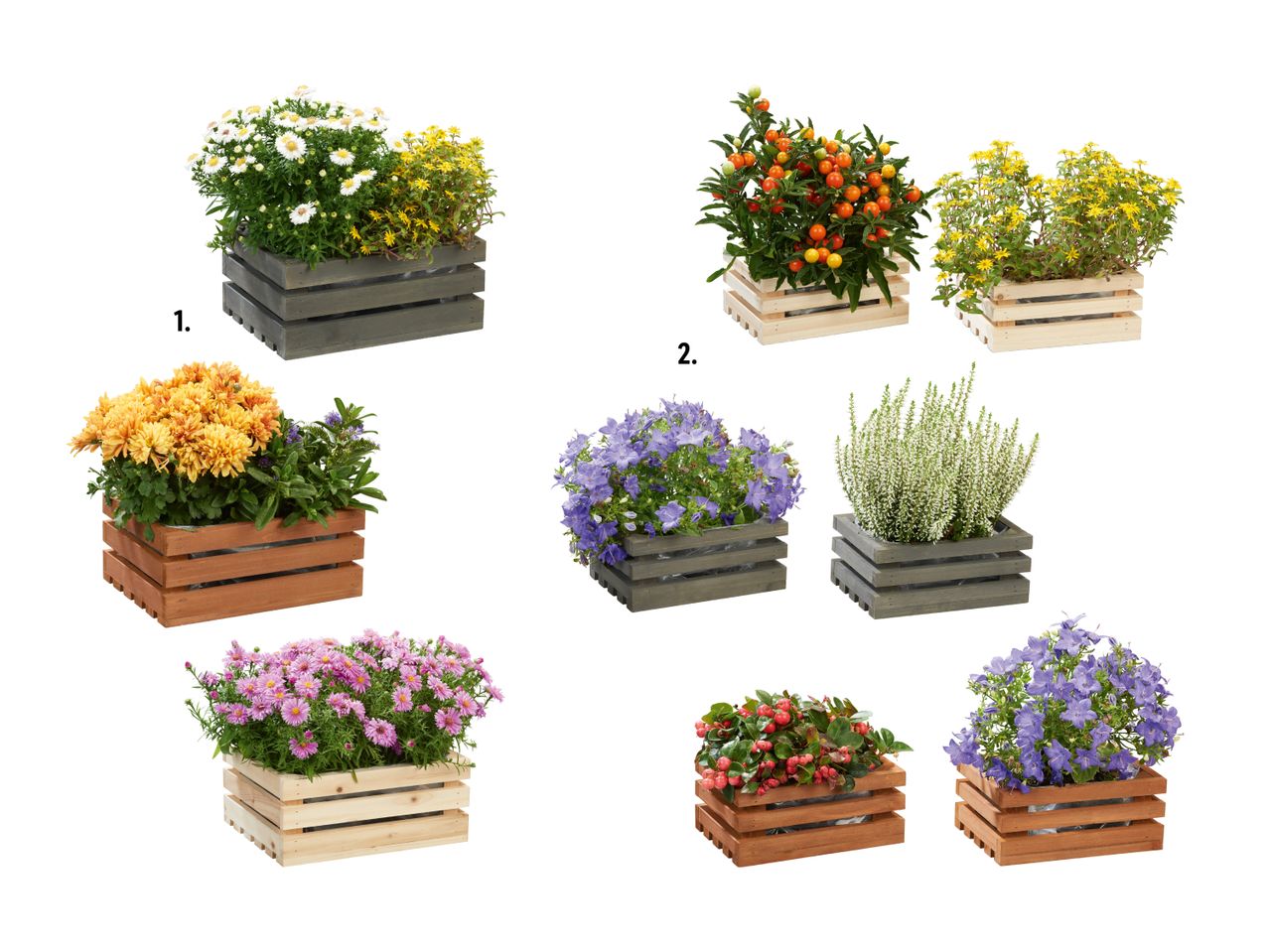 Bac(s) de fleurs