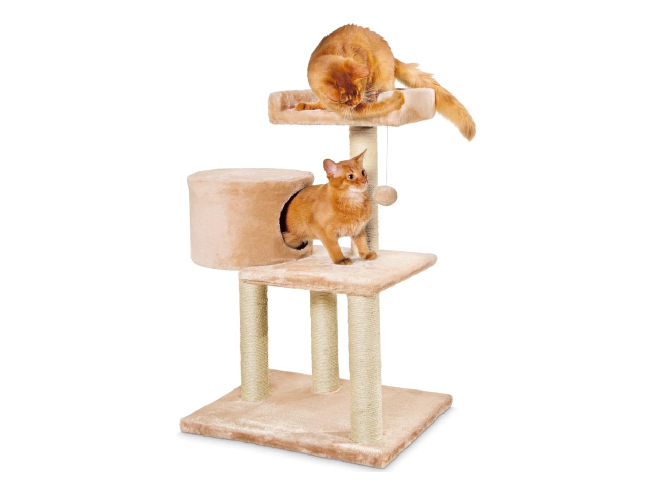 ZOOFARI(R) Cat Scratching Post