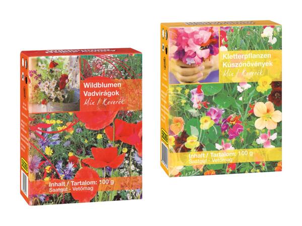 Vilde sommerblomsterfrø