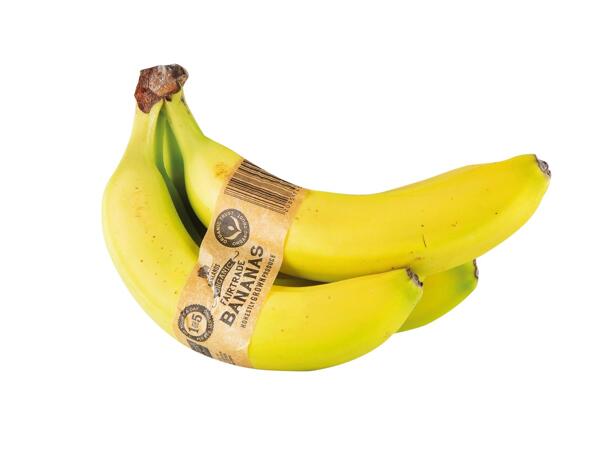 Fairtrade Organic Bananas