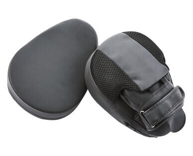 Boxing Gloves or Boxing Mitts