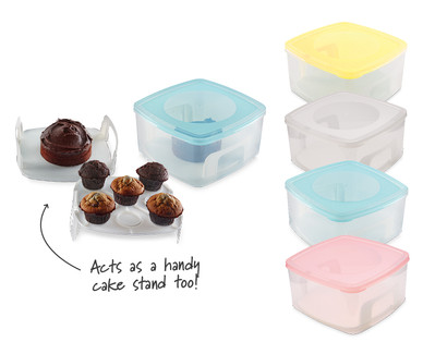 Cake Box with Lifter