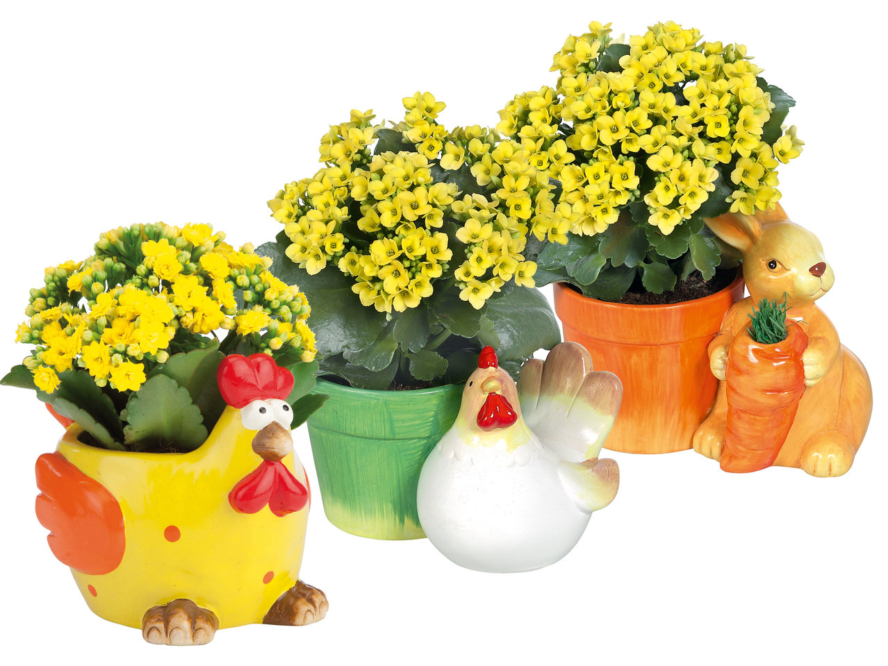 Bepflanzter Hahn, Hase oder Henne