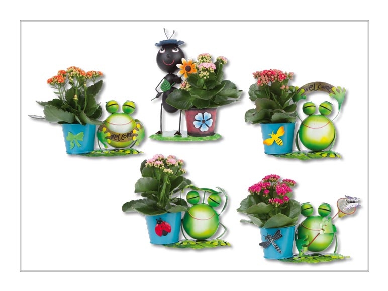 Figurines en zinc avec kalanchoe (dès 23.6.)