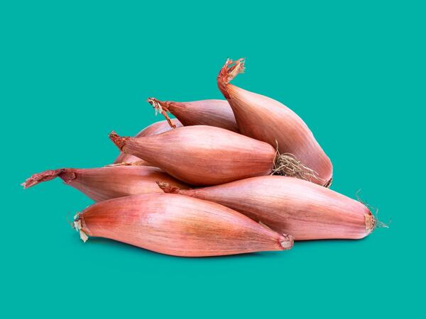 Echalion Shallots