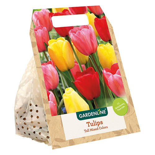 Fall Bulb - Assorted Varieties