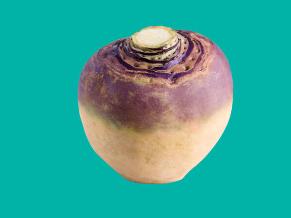Swede