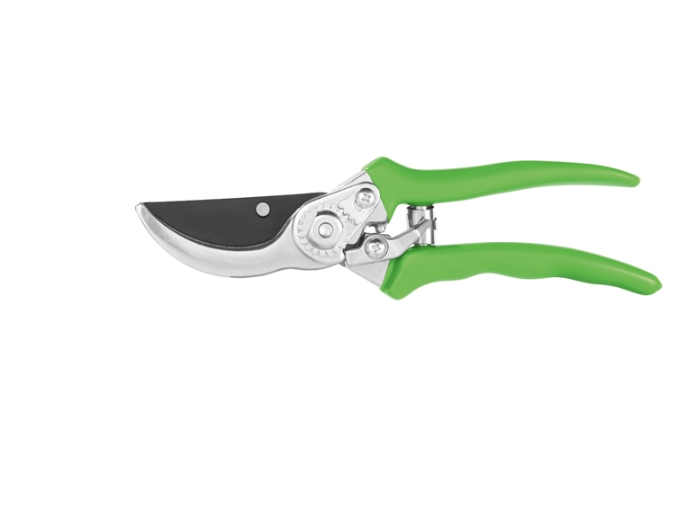 Secateurs