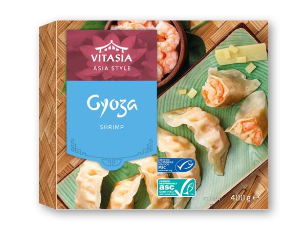 VITASIA Samosa eller gyoza