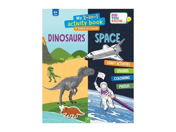 Kids' 2-in-1 Activity Book Assortment
