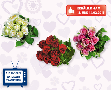 FAIRTRADE Max Havelaar Valentins-Langstielrosen