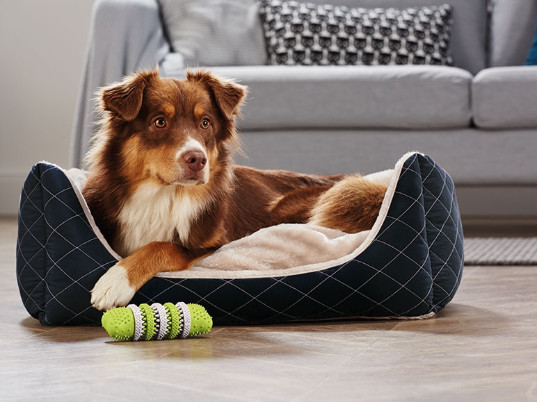 ZOOFARI Dog Bed