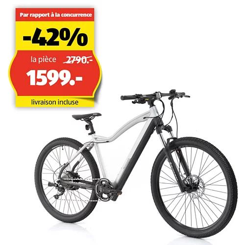 ALLEGRO Vélo électrique Invisible E-MTB AXIM°03 19", Steel