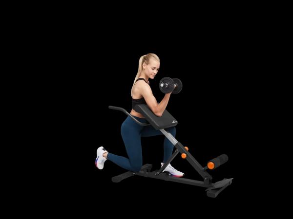 Multi Trainer
