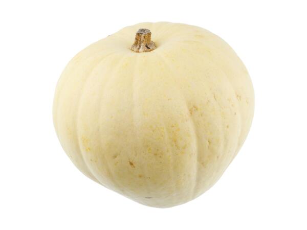 Ghost Pumpkin