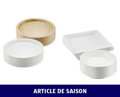 BBQ 
 ARTICLES À USAGE UNIQUE EN CARTON/BOIS