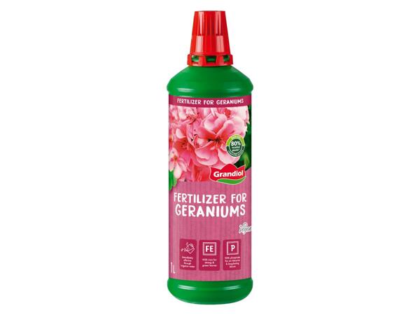 Spezialdünger für Geranien