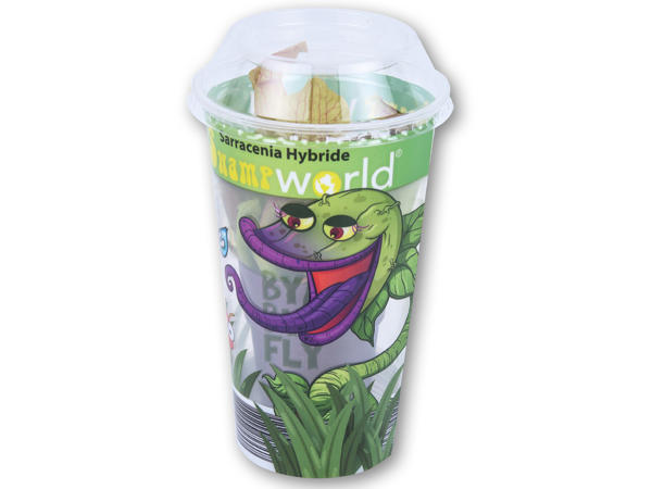 Kødædende plante