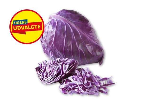 Dansk rød spidskål
