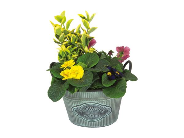 Flowers & Garden Planter