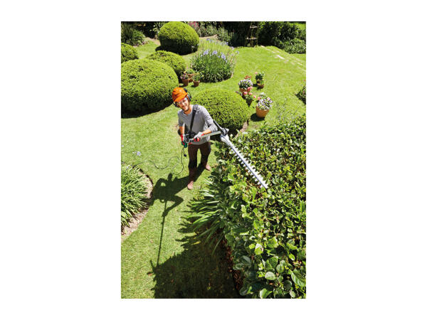Parkside Forestry Safety Helmet
