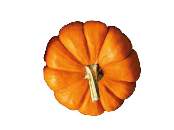 Large Pumpkin