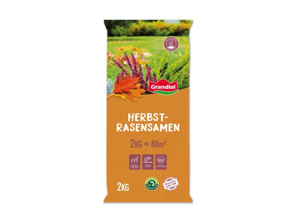 Herbstrasenmischung
