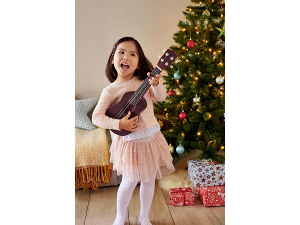 Musical Instrument