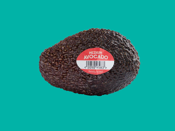 Medium Avocado