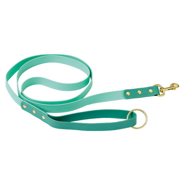 Heart to Tail Green Dog Leash