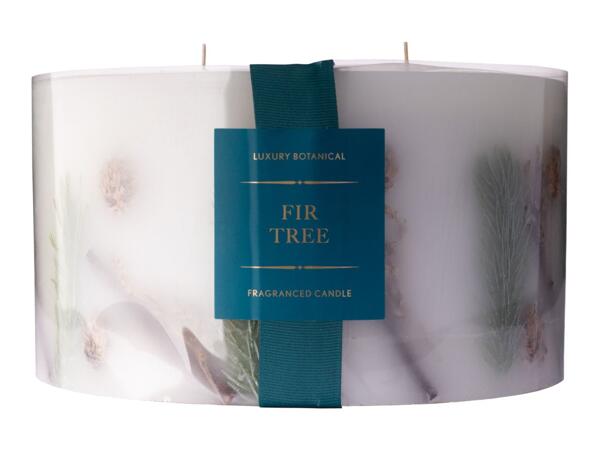 Large Winter Inclusion Candle 4.5kg - Fir Tree