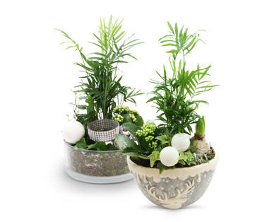 Winterliches Arrangement