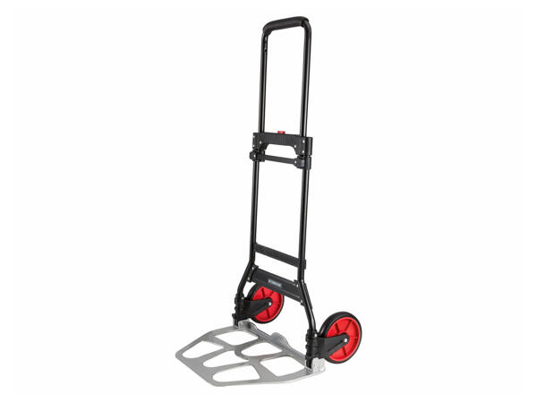 Folding Load Carrier