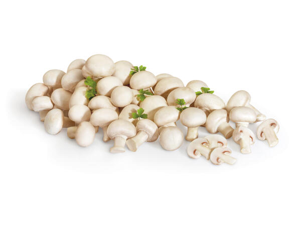 Champignon Mushrooms