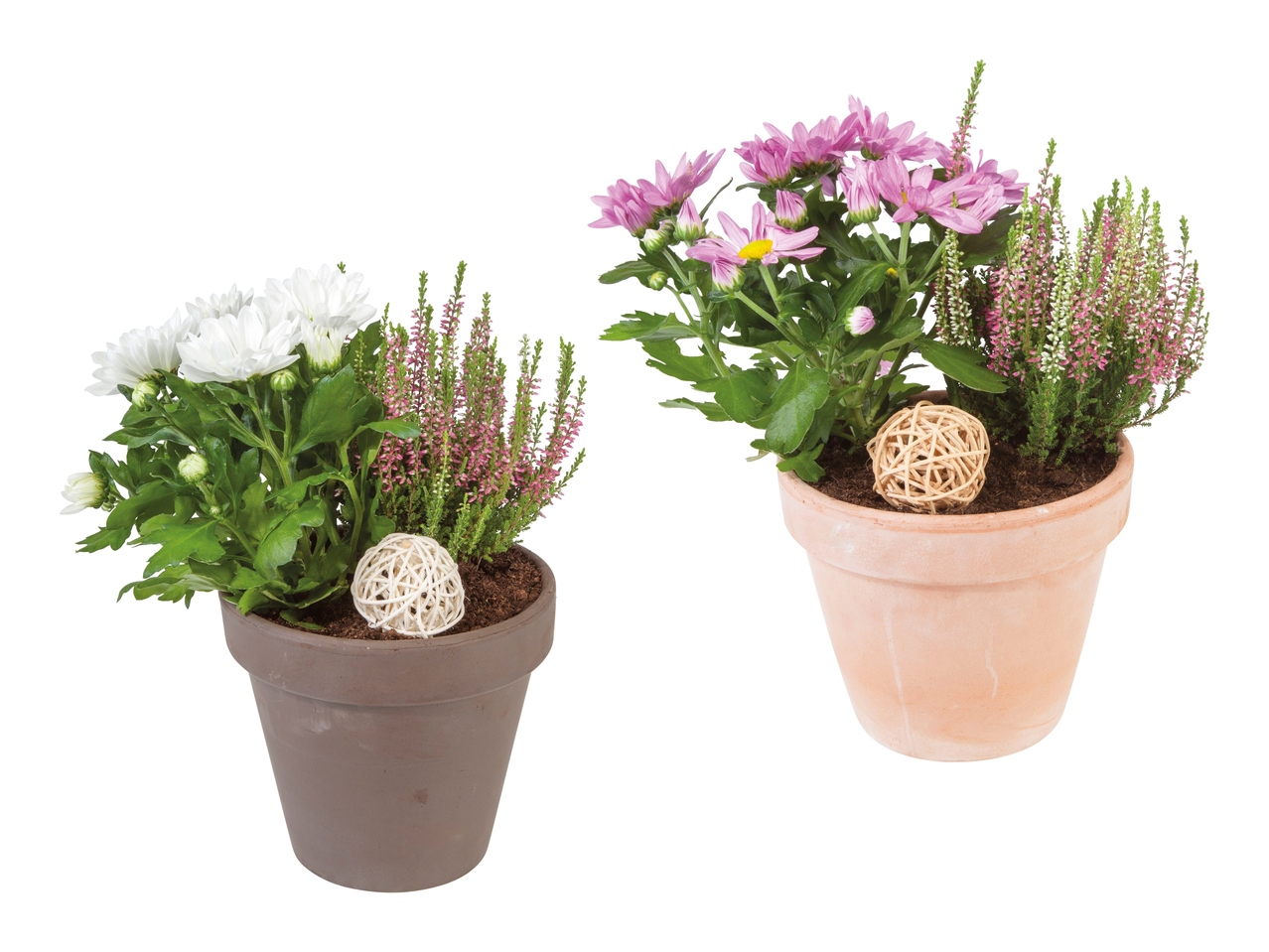 Pot de plantes automnal en terre cuite