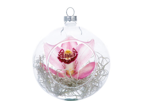 Christmas Orchid Bauble