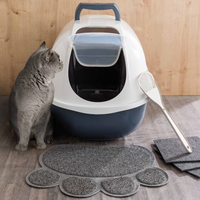 Toilette pour chats
