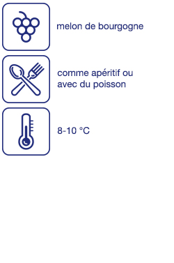 Muscadet Sèvre et Maine sur Lie