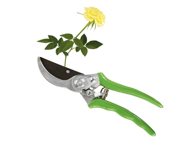 Bypass Secateurs
