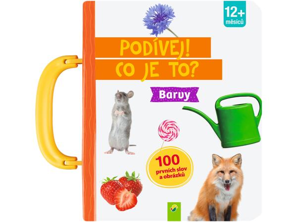 DĚTSKÁ KNIHA