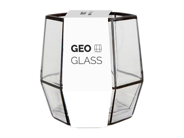 Root7 Assorted Tumbler