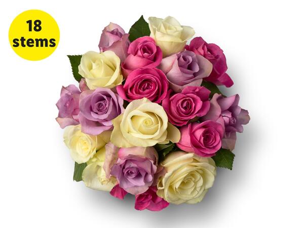 Special Someone